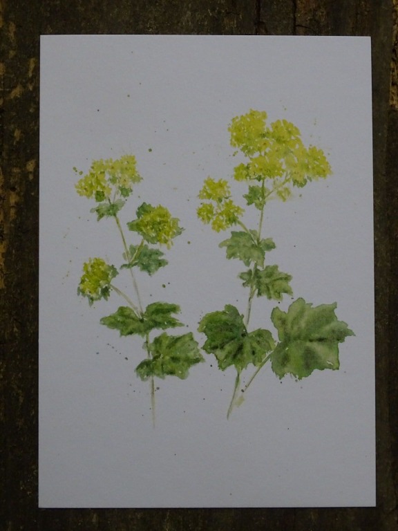 Deko-Pilz Rost